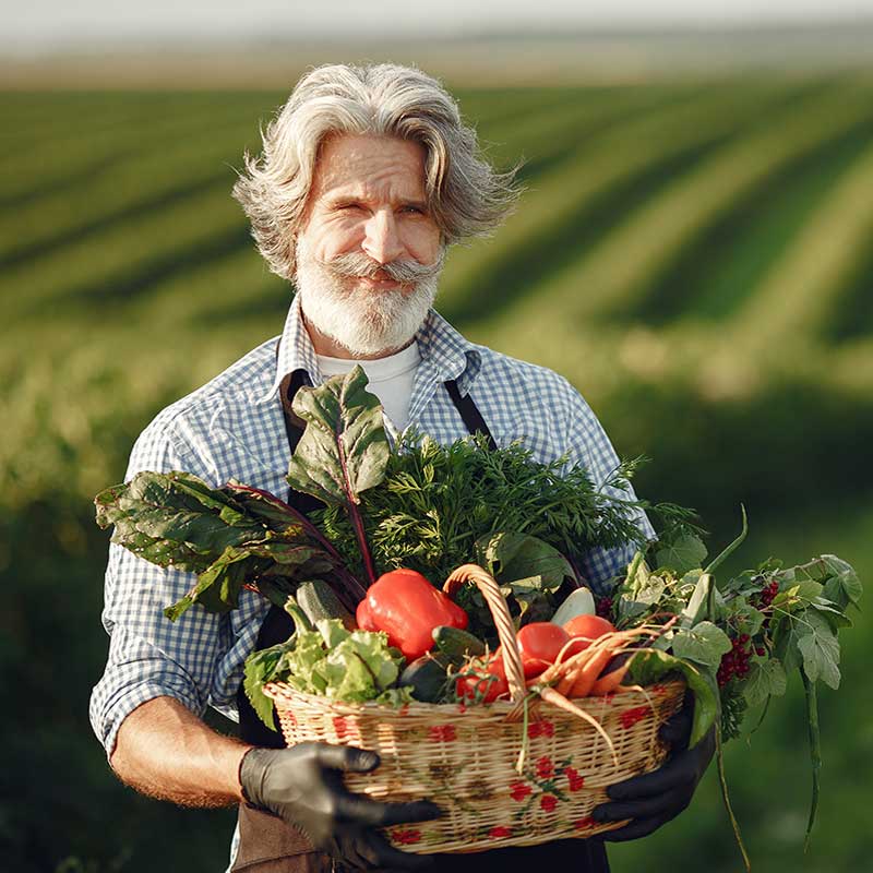 AgroTech