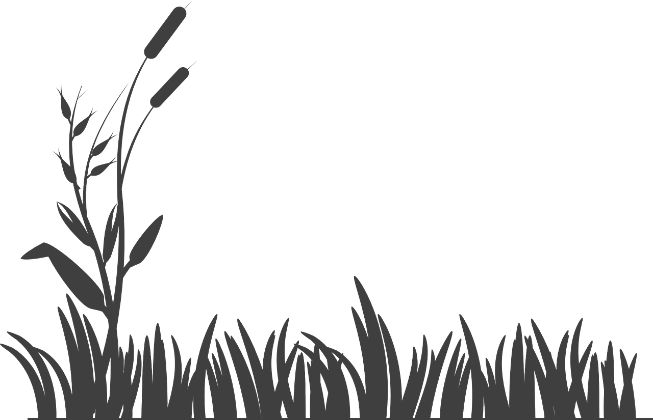 AgroTech