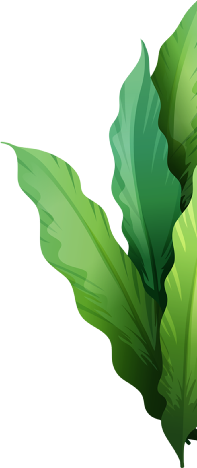 AgroTech