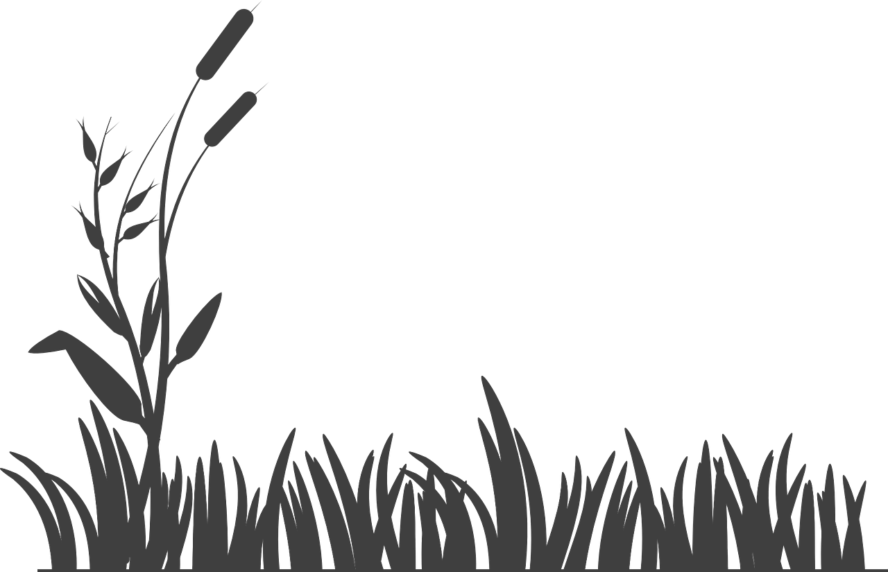AgroTech