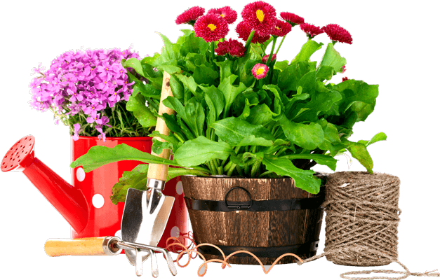 AgroTech
