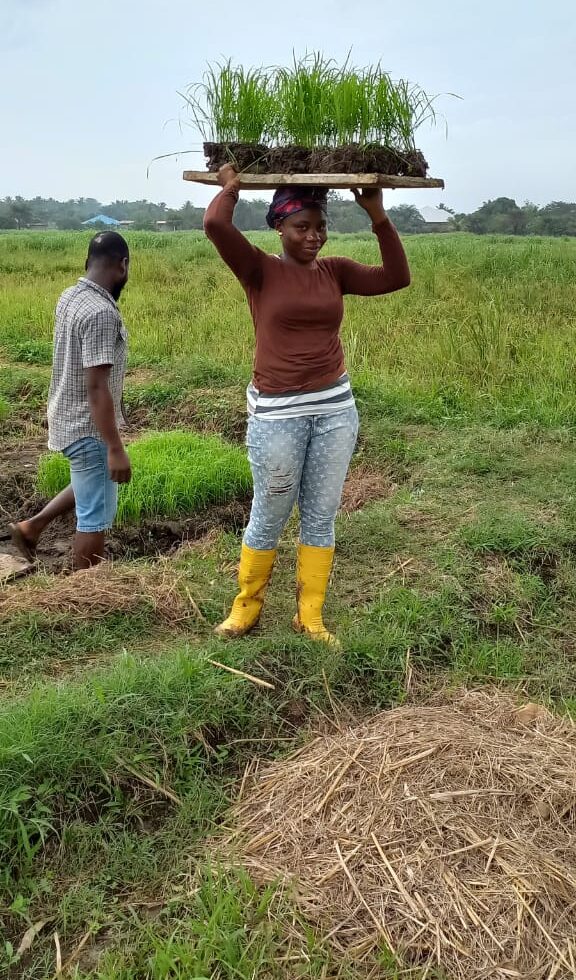 AgroTech